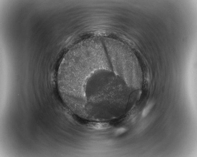 X0000085760663200704091335