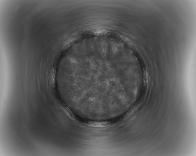 X0000085760664200704091335
