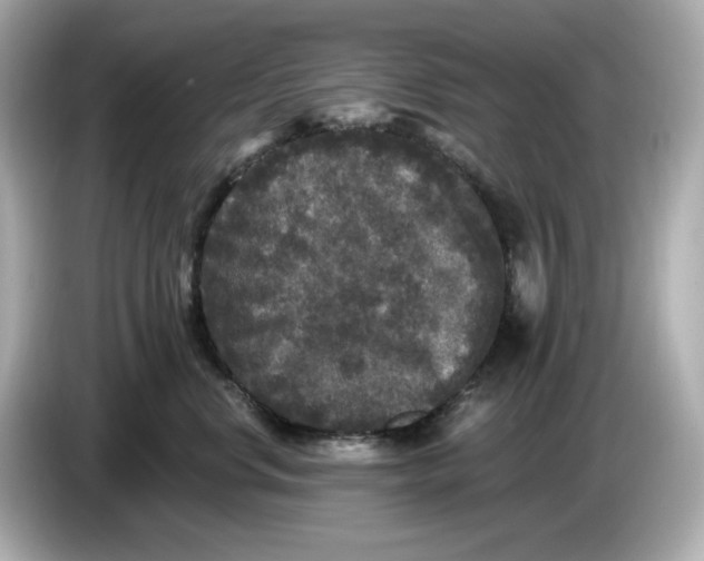 X0000085760668200704091335