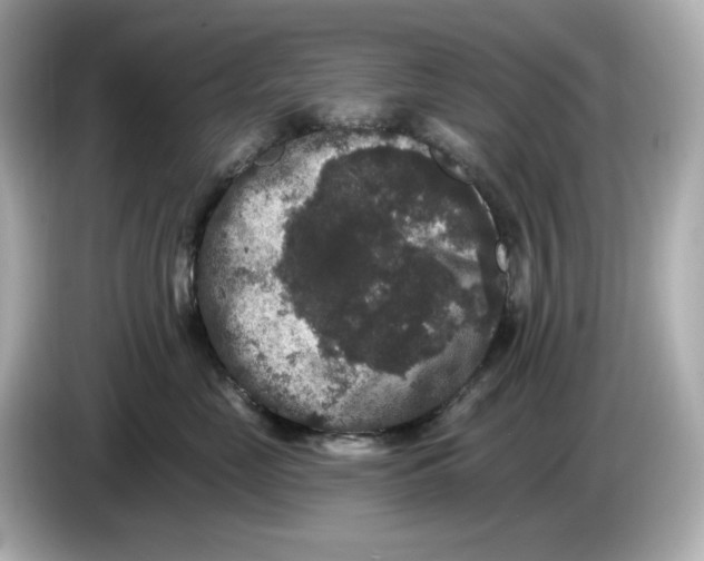 X0000085760669200704091335