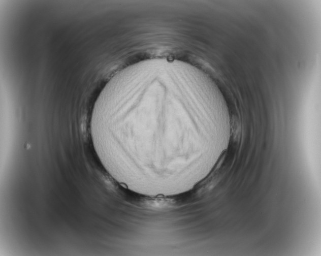 X0000085760670200704091335