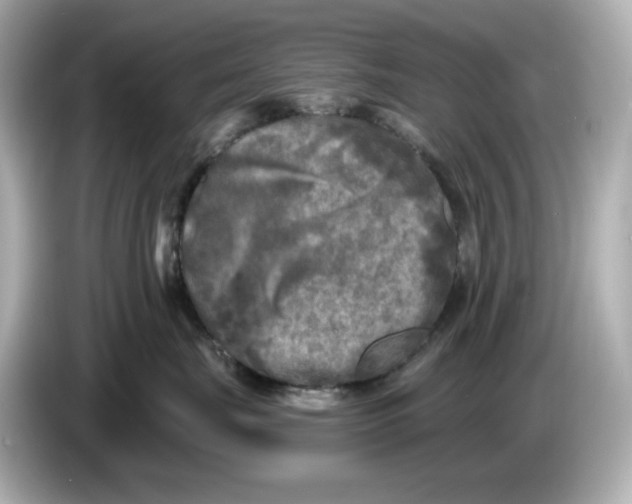 X0000085760671200704091335
