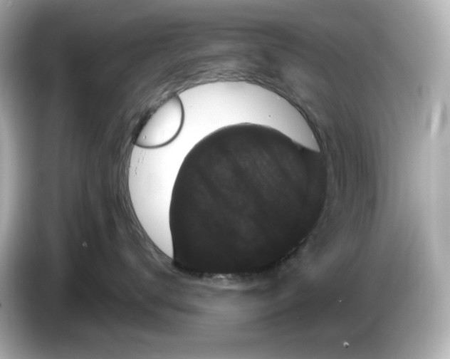 X0000085760672200704091335
