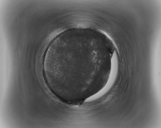 X0000085760673200704091335