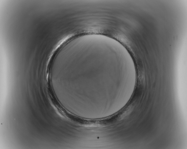X0000085760674200704091335