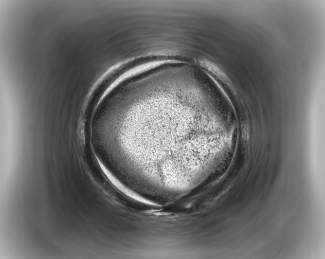 X0000085760676200704091335