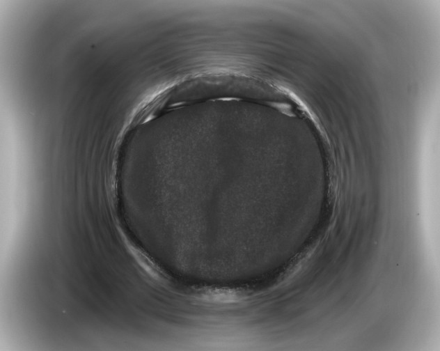 X0000085760677200704091335