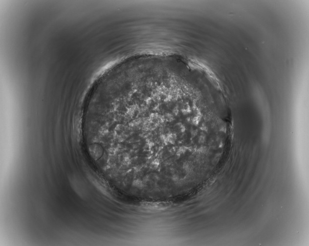 X0000085760679200704091335