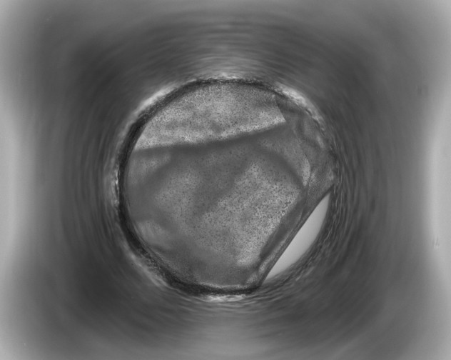 X0000085760680200704091335
