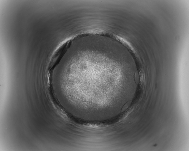 X0000085760684200704091335