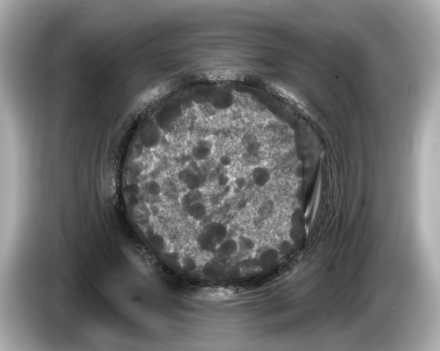 X0000085760687200704091335