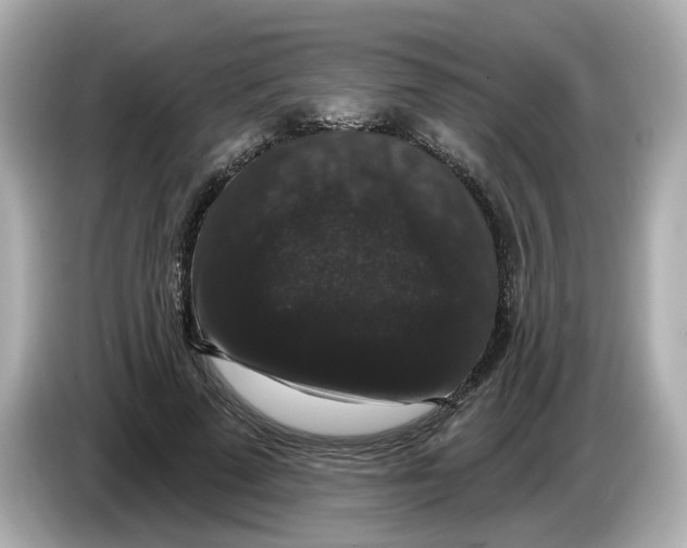 X0000085760689200704091335