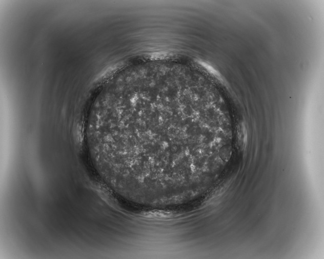 X0000085760691200704091335