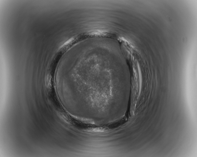 X0000085760692200704091335