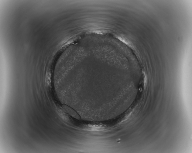 X0000085760693200704091334