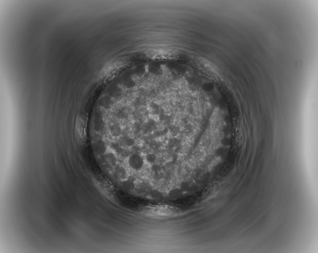 X0000085760695200704091334
