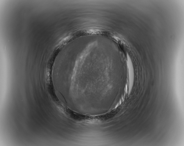 X0000085760696200704091334