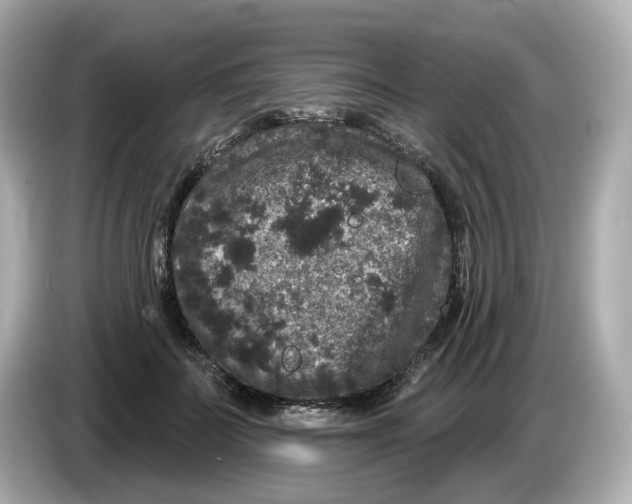 X0000085760699200704091334