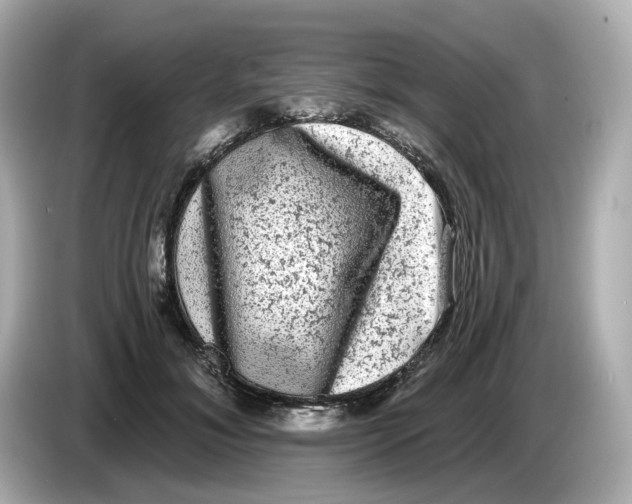 X0000085760700200704091334