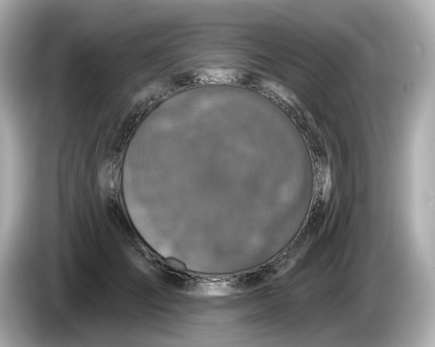 X0000085760701200704091334