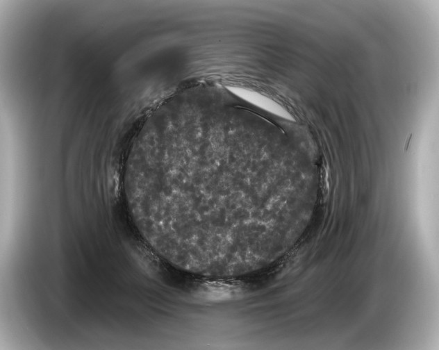 X0000085760703200704091334