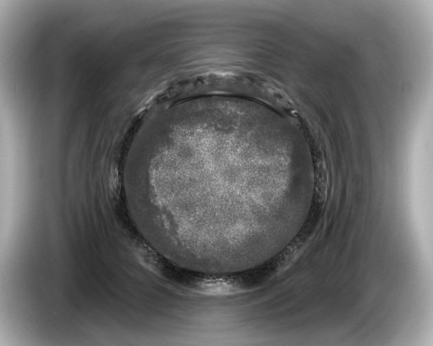 X0000085760704200704091334