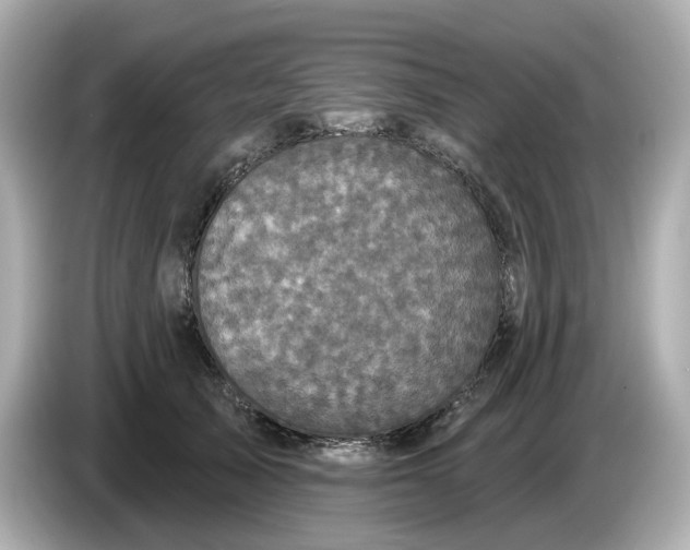X0000085760705200704091334