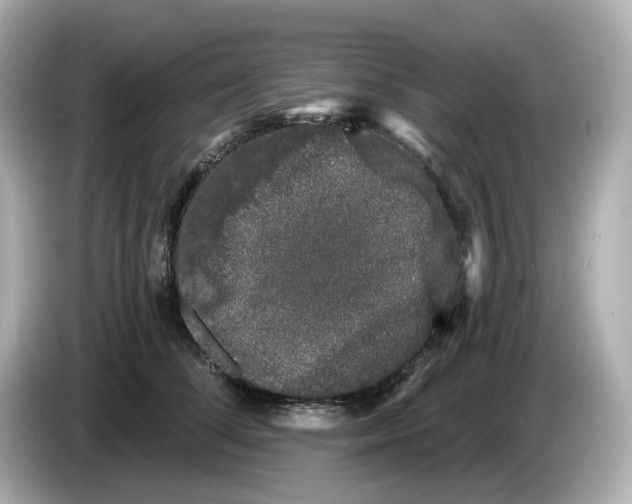 X0000085760708200704091334