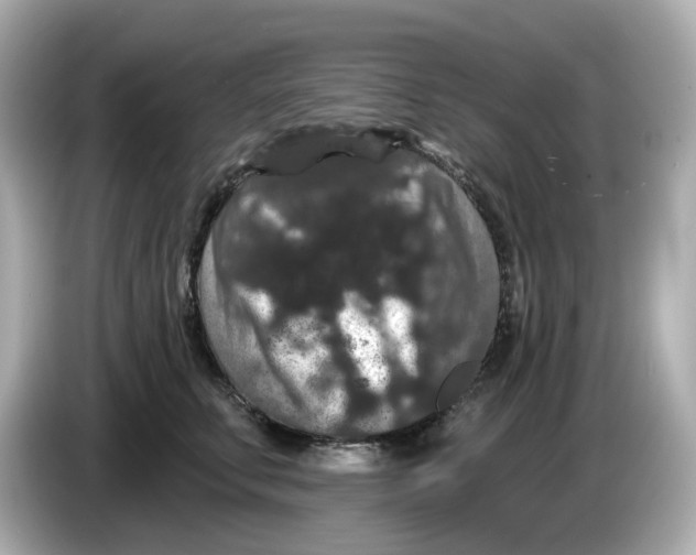 X0000085760711200704091334