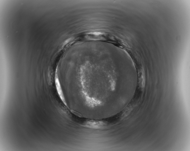 X0000085760712200704091334