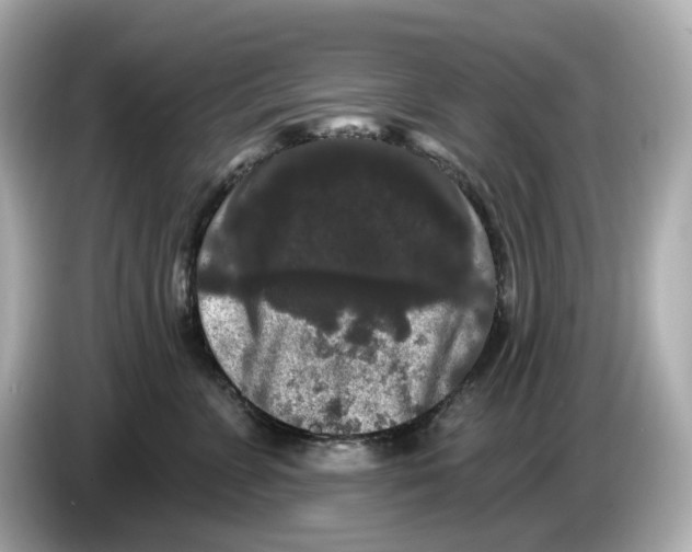 X0000085760715200704091334