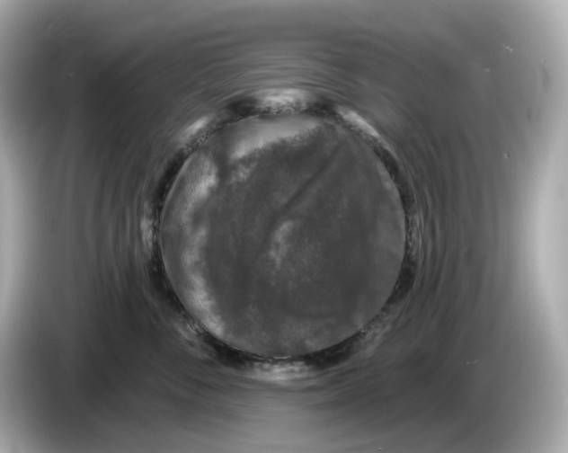 X0000085760716200704091334