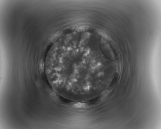 X0000085760718200704091334