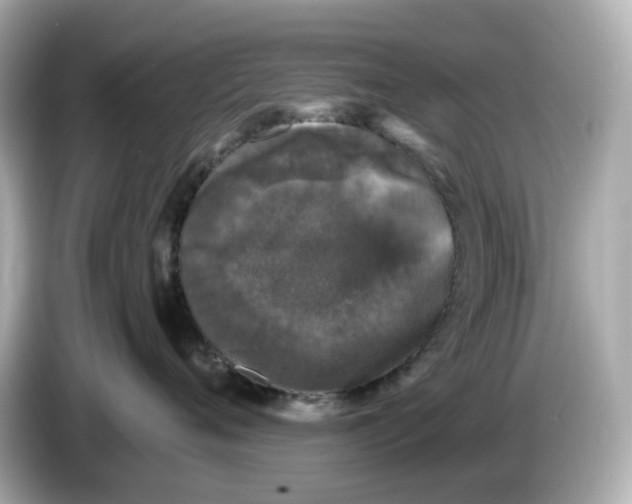 X0000085760720200704091334