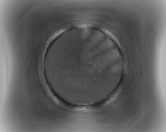 X0000085760721200704091334