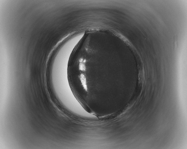 X0000085760722200704091334