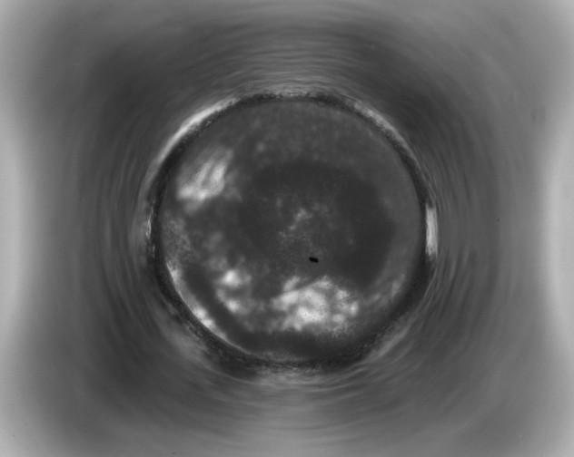 X0000085760723200704091334