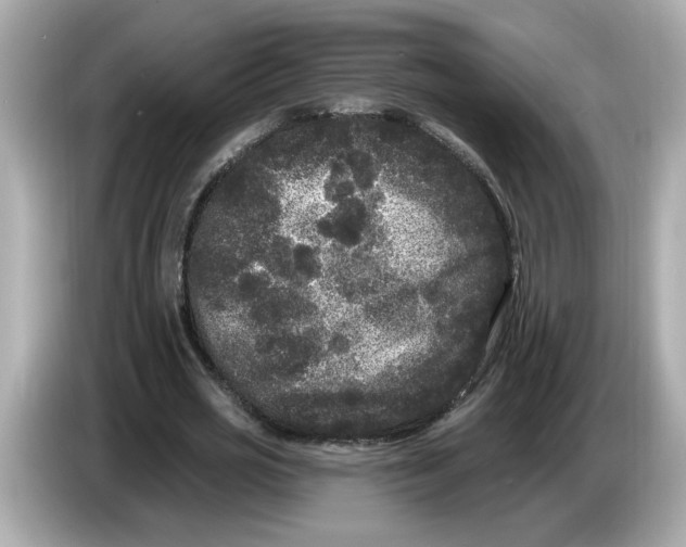 X0000085760725200704091334