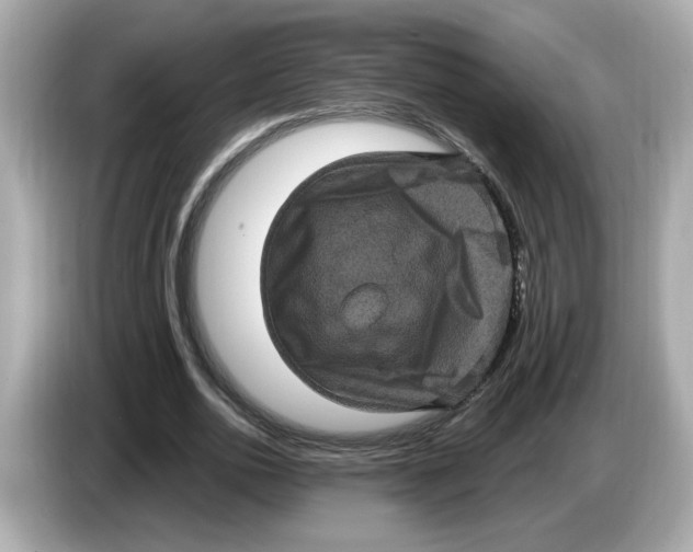X0000085760726200704091334