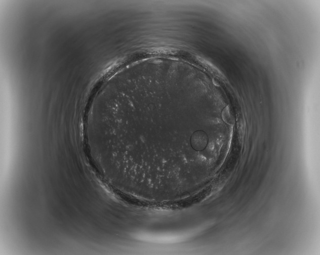 X0000085760729200704091334