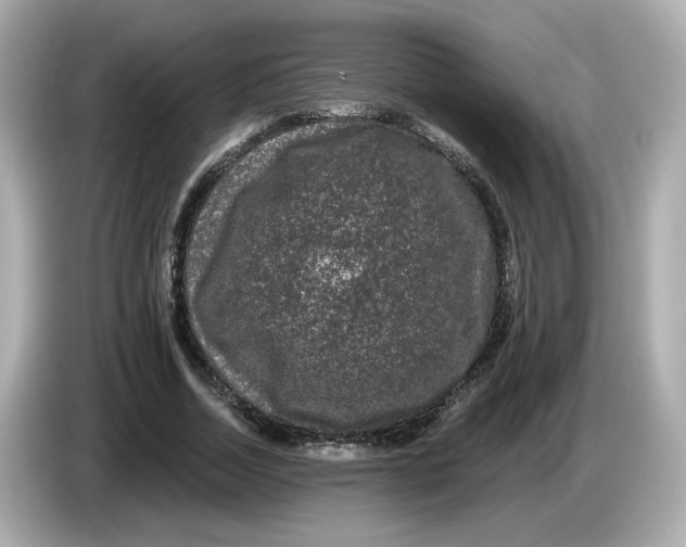 X0000085760730200704091334