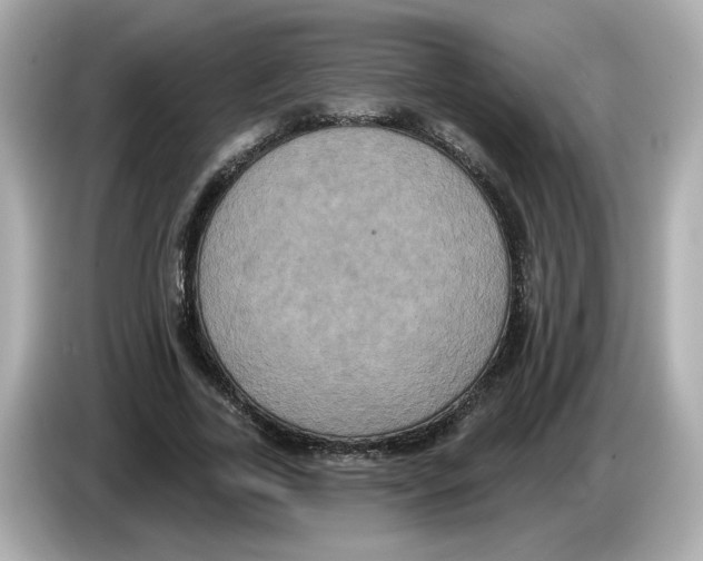 X0000085760731200704091334