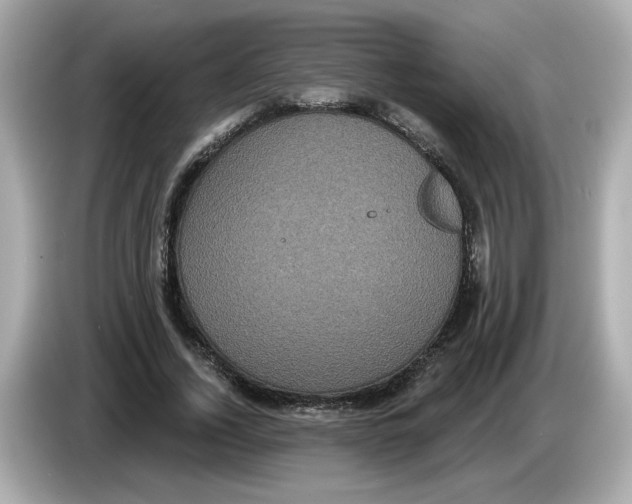 X0000085760732200704091334