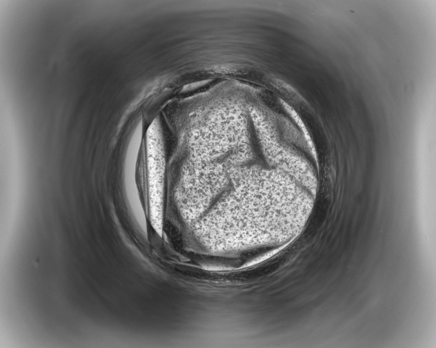 X0000085760734200704091334