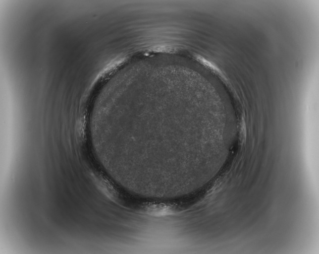 X0000085760735200704091334