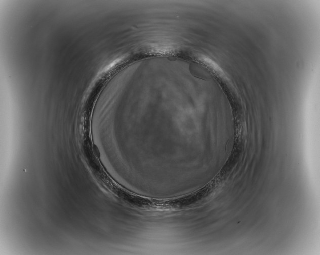 X0000085760736200704091334