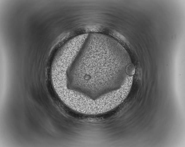 X0000085760738200704091334