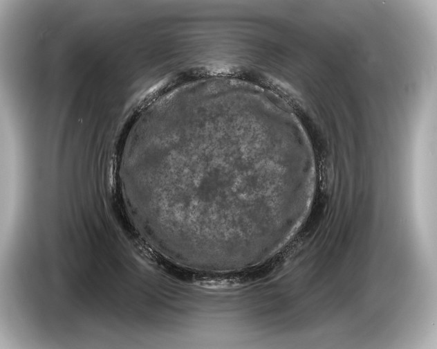 X0000085760740200704091334