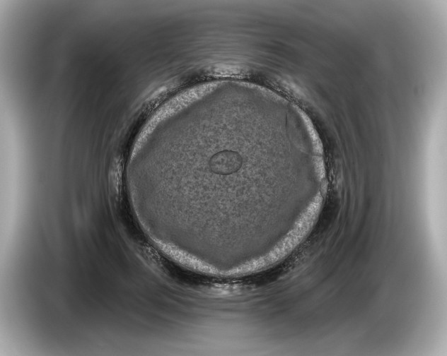 X0000085760744200704091334