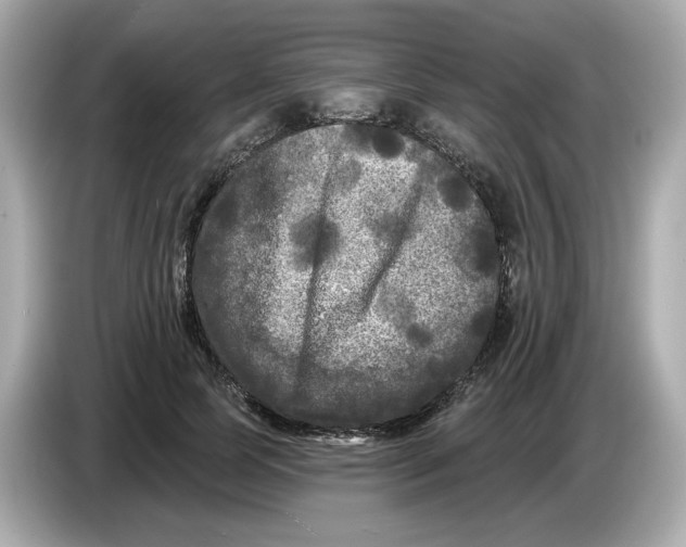 X0000085760745200704091334